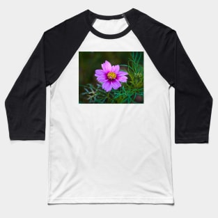 Daisy Marguerite Macro - Magenta Flower With Dark Green Foliage Baseball T-Shirt